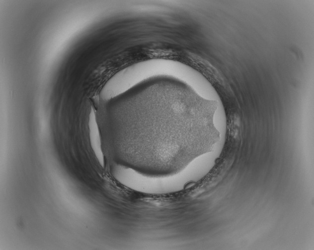 X0000111030763200907161324