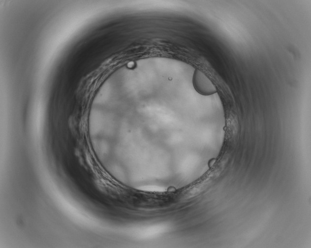 X0000111030765200907161324