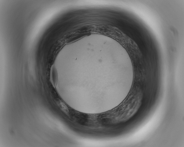 X0000111030766200907161324