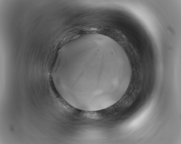 X0000111030767200907161325