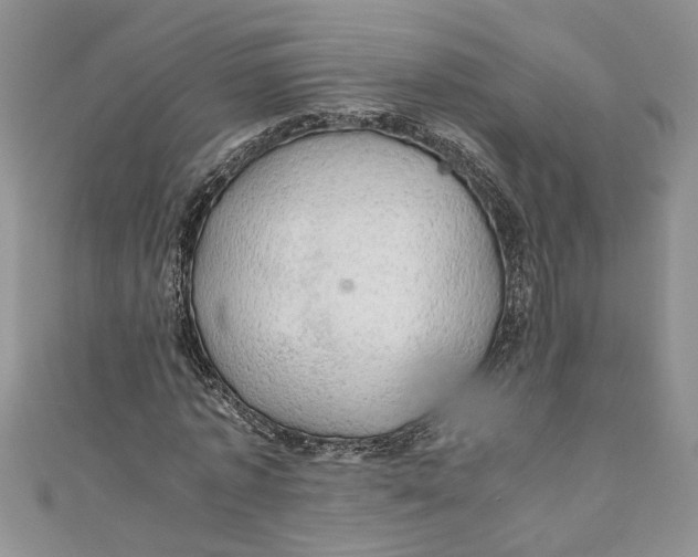 X0000111030773200907161324