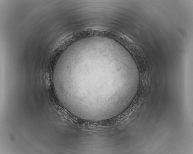 X0000111030774200907161324