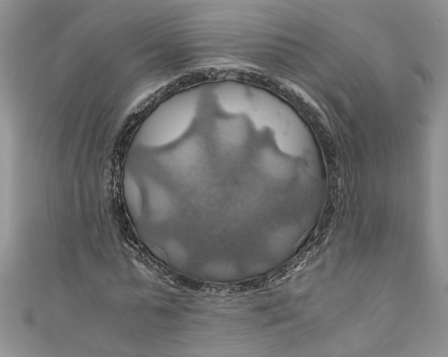 X0000111030775200907161324