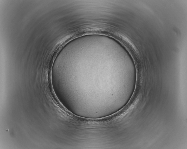 X0000111030777200907161324