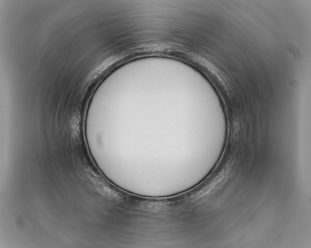 X0000111030778200907161324