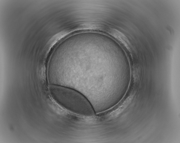 X0000111030781200907161324