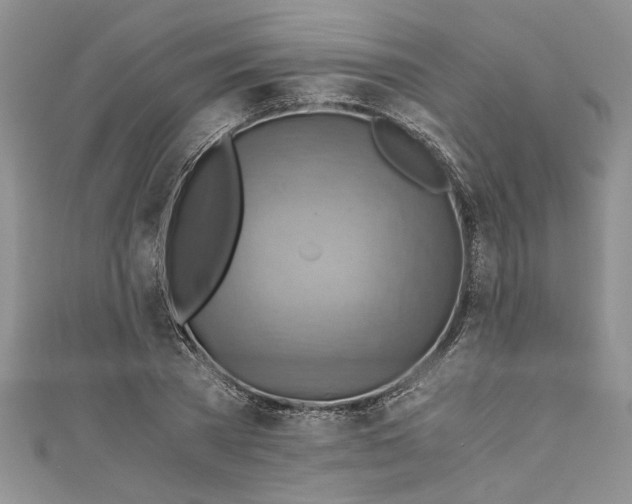 X0000111030785200907161324