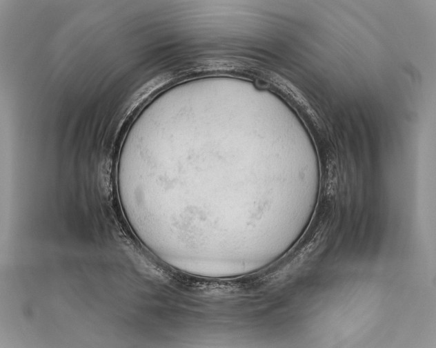 X0000111030786200907161324