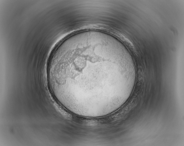 X0000111030792200907161324