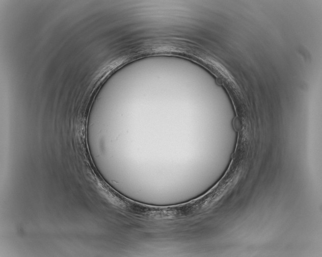 X0000111030793200907161324