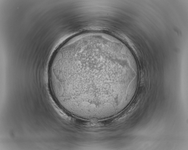 X0000111030795200907161324