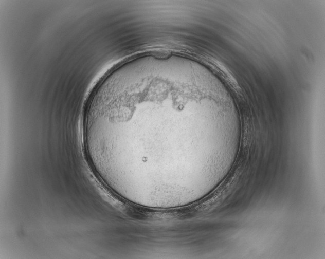 X0000111030796200907161324