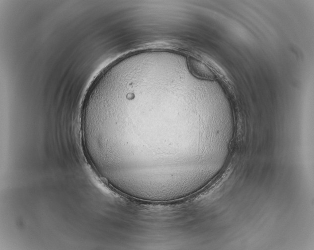 X0000111030800200907161324