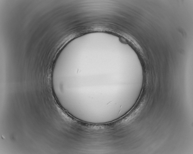 X0000111030801200907161324