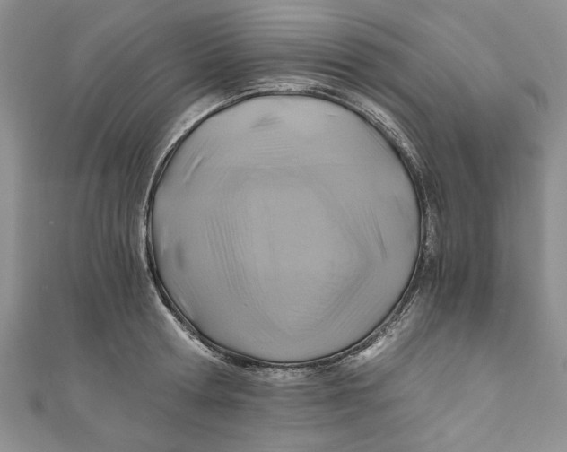 X0000111030802200907161323