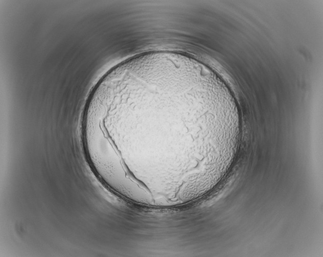 X0000111030803200907161323