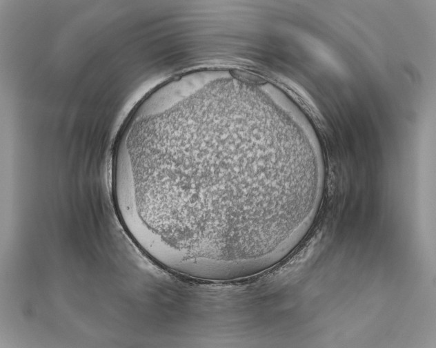 X0000111030804200907161323