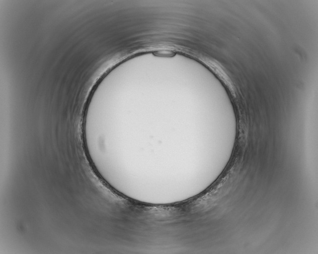 X0000111030805200907161323