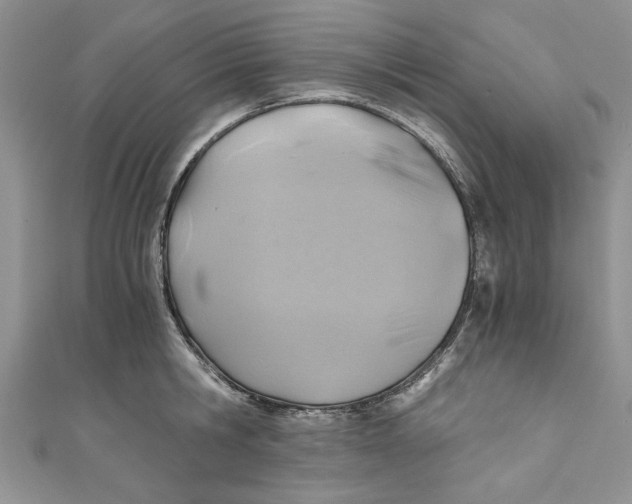 X0000111030806200907161323