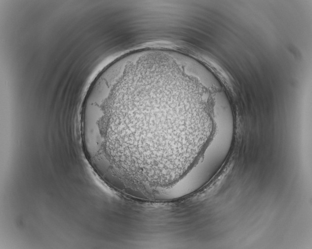 X0000111030808200907161323