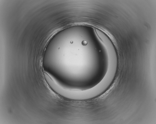 X0000111030809200907161323