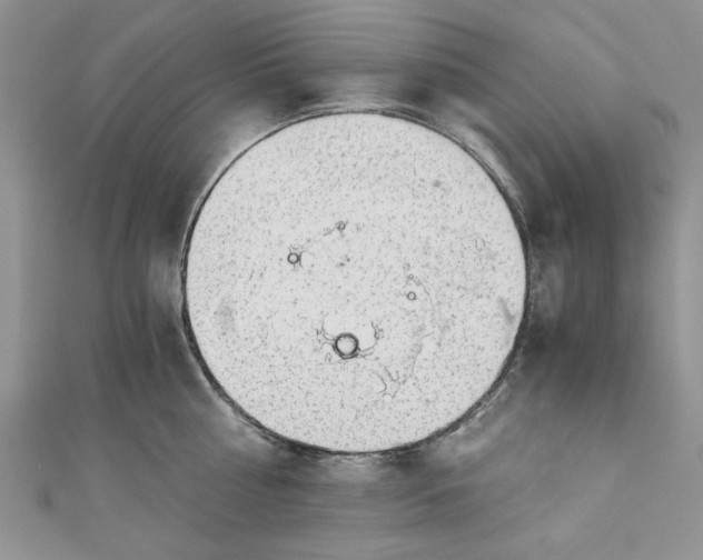 X0000111030810200907161323