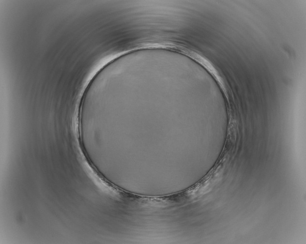 X0000111030811200907161323