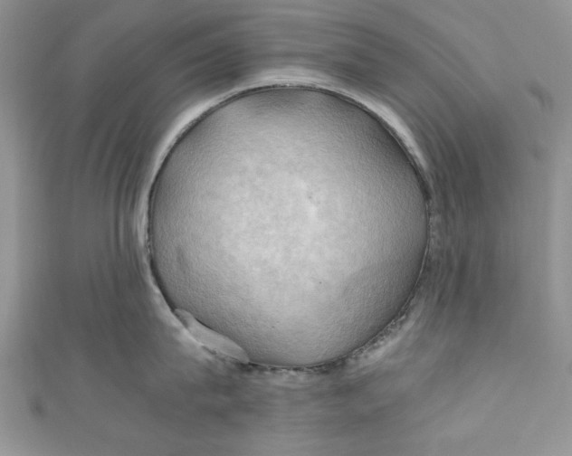 X0000111030815200907161323