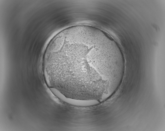 X0000111030816200907161323