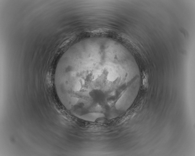 X0000111030819200907161323