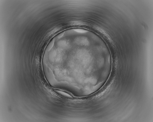 X0000111030825200907161323