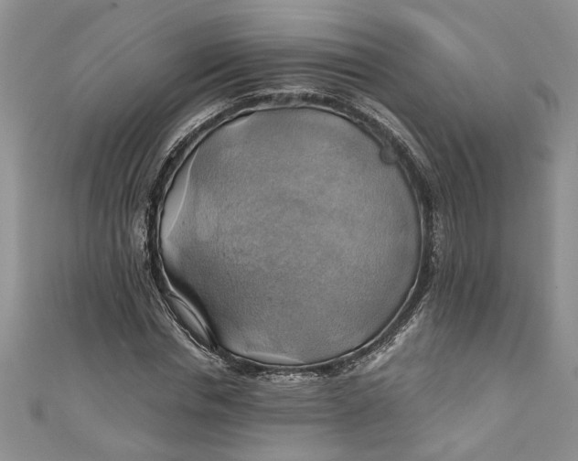 X0000111030826200907161323