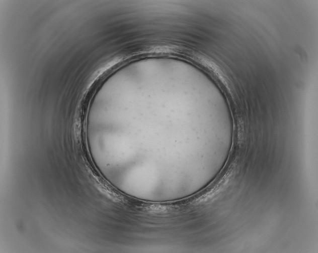 X0000111030827200907161323
