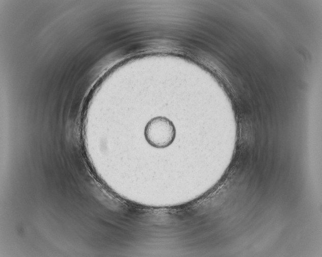 X0000111030828200907161323