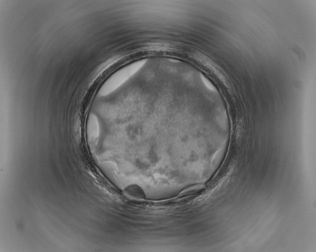X0000111030829200907161323