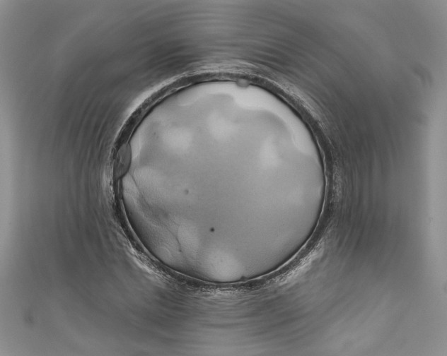 X0000111030830200907161323