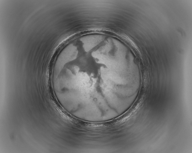 X0000111030831200907161323