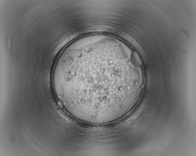 X0000111030834200907161323