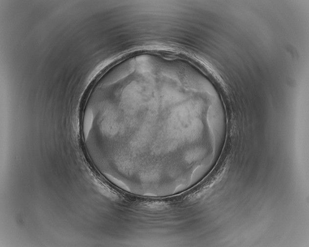 X0000111030837200907161323