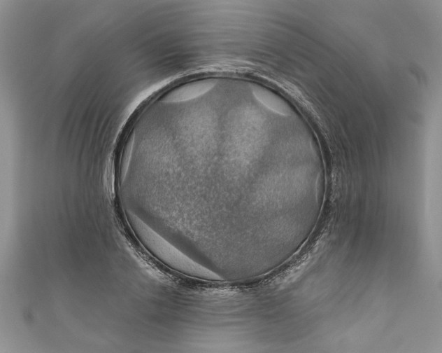 X0000111030838200907161323