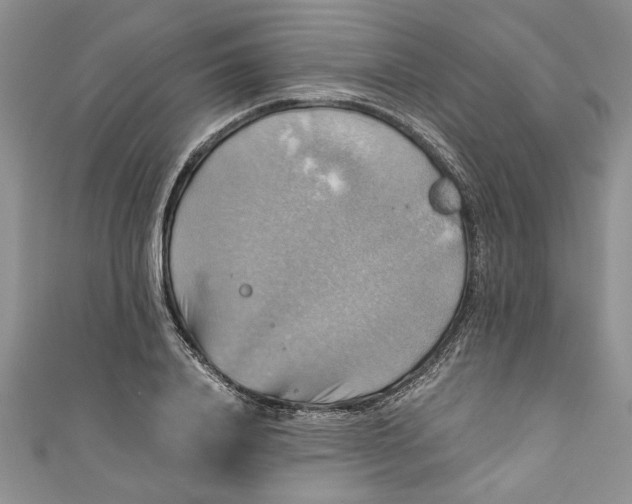 X0000111030840200907161323