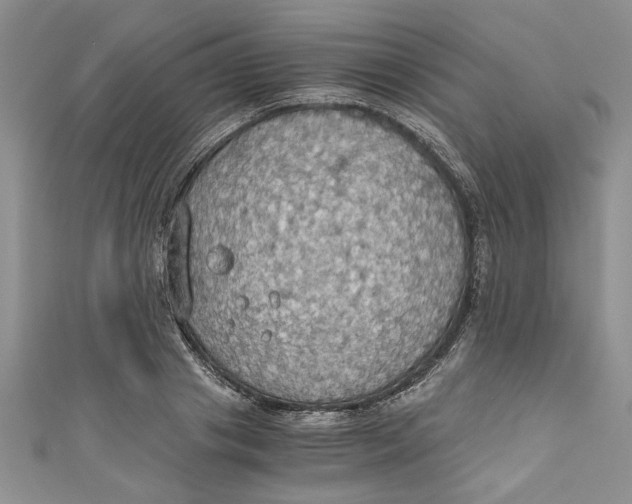 X0000111030841200907161323