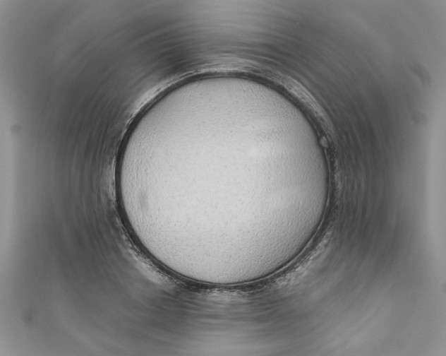 X0000111030842200907161323