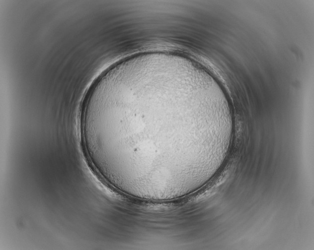 X0000111030843200907161323