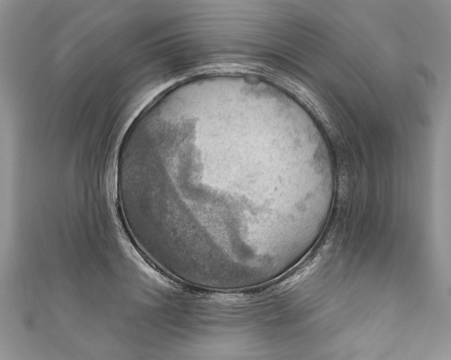 X0000111030844200907161323