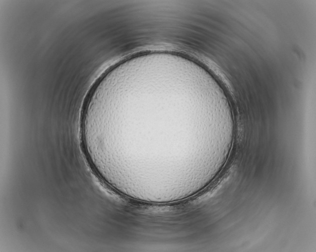 X0000111030845200907161323
