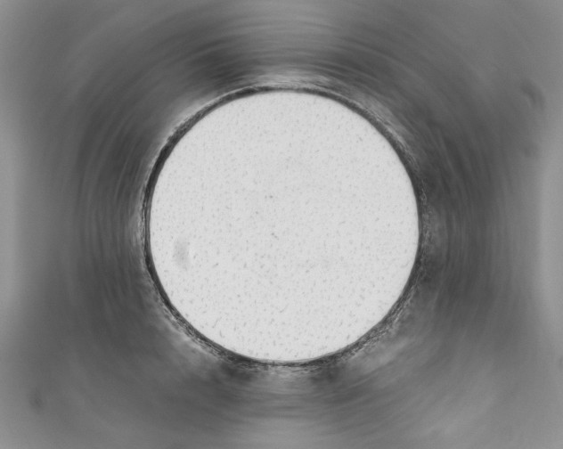X0000111030848200907161323
