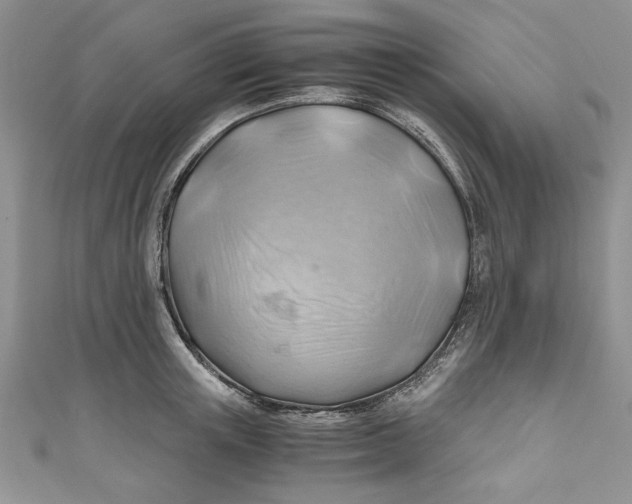 X0000111030851200907161323