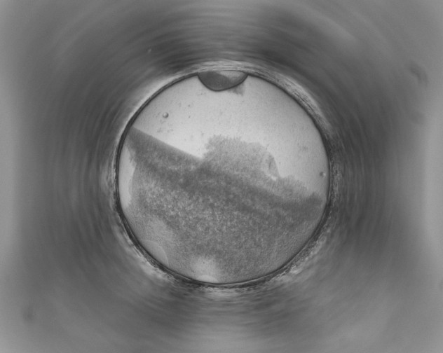 X0000111030852200907161323
