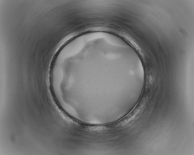 X0000111030853200907161323